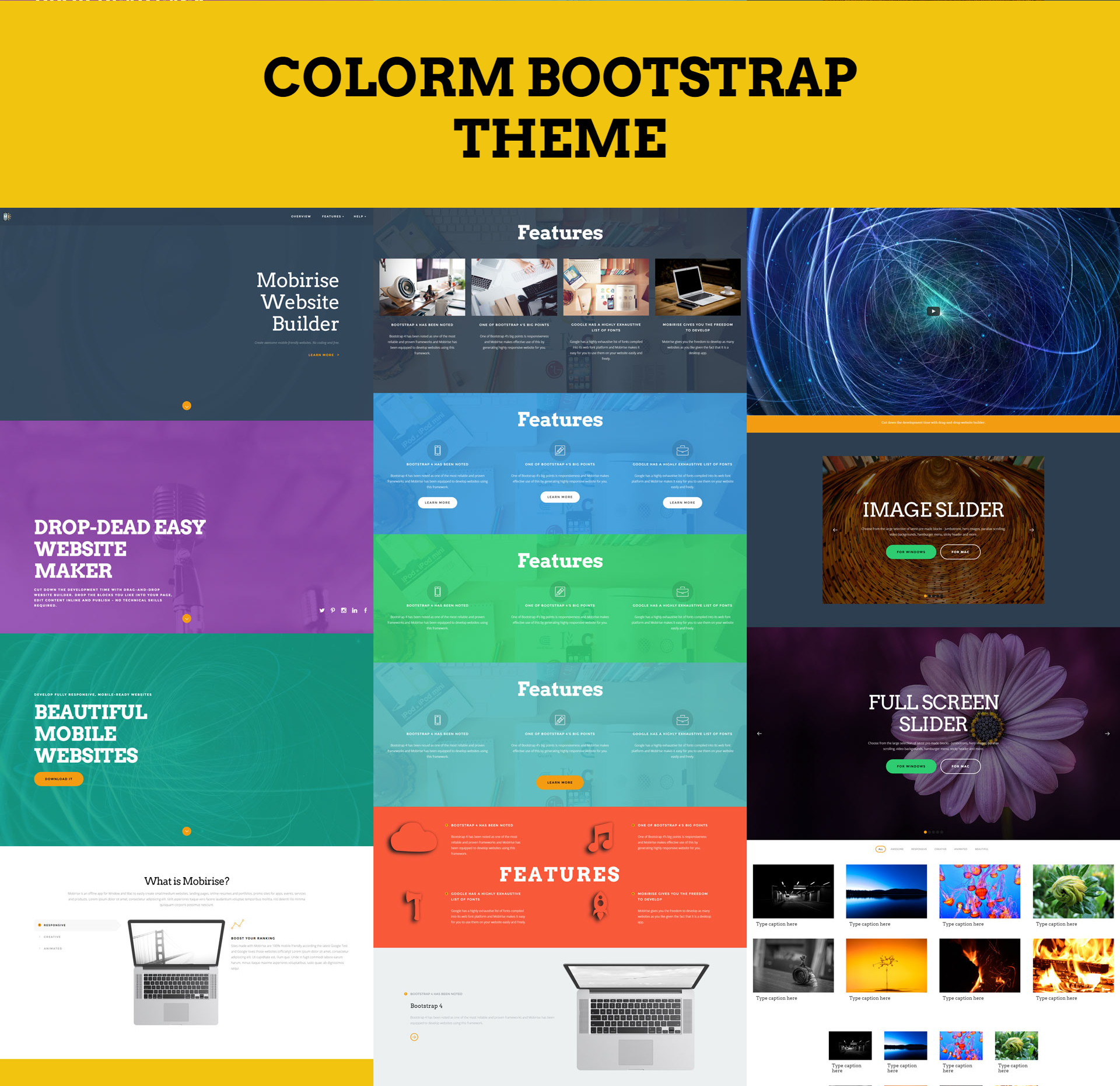 HTML5 Bootstrap ColorM Themes