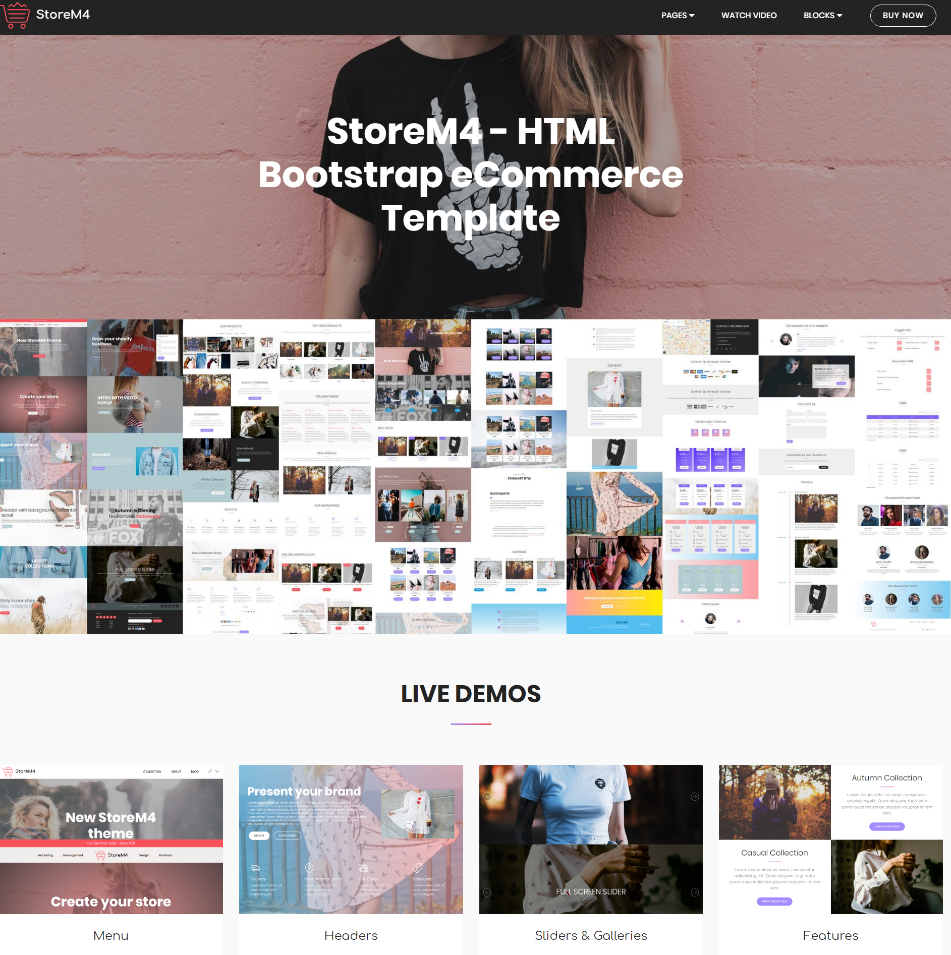 Free Bootstrap Storem4 Themes