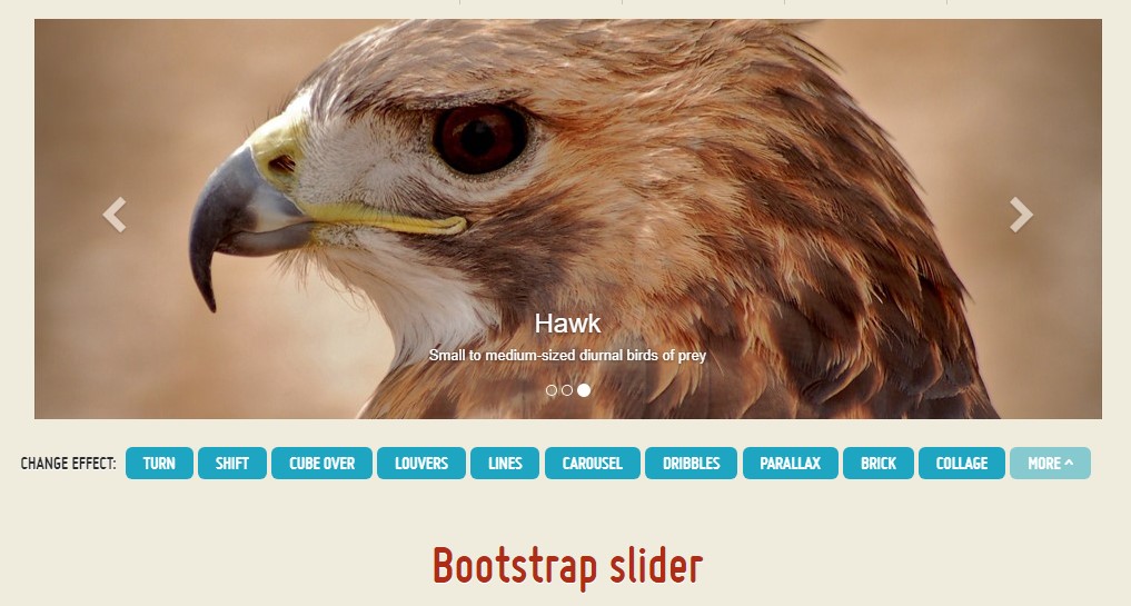  Bootstrap Image Slider Example 